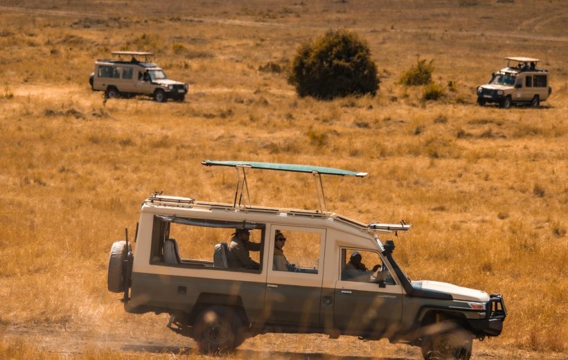 7 Days Tanzania Safari Adventure
