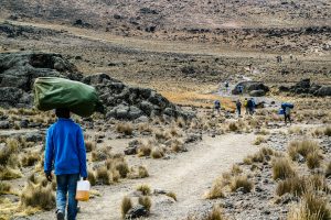 7 Days Mount Kilimanjaro Climb – Lemosho Route